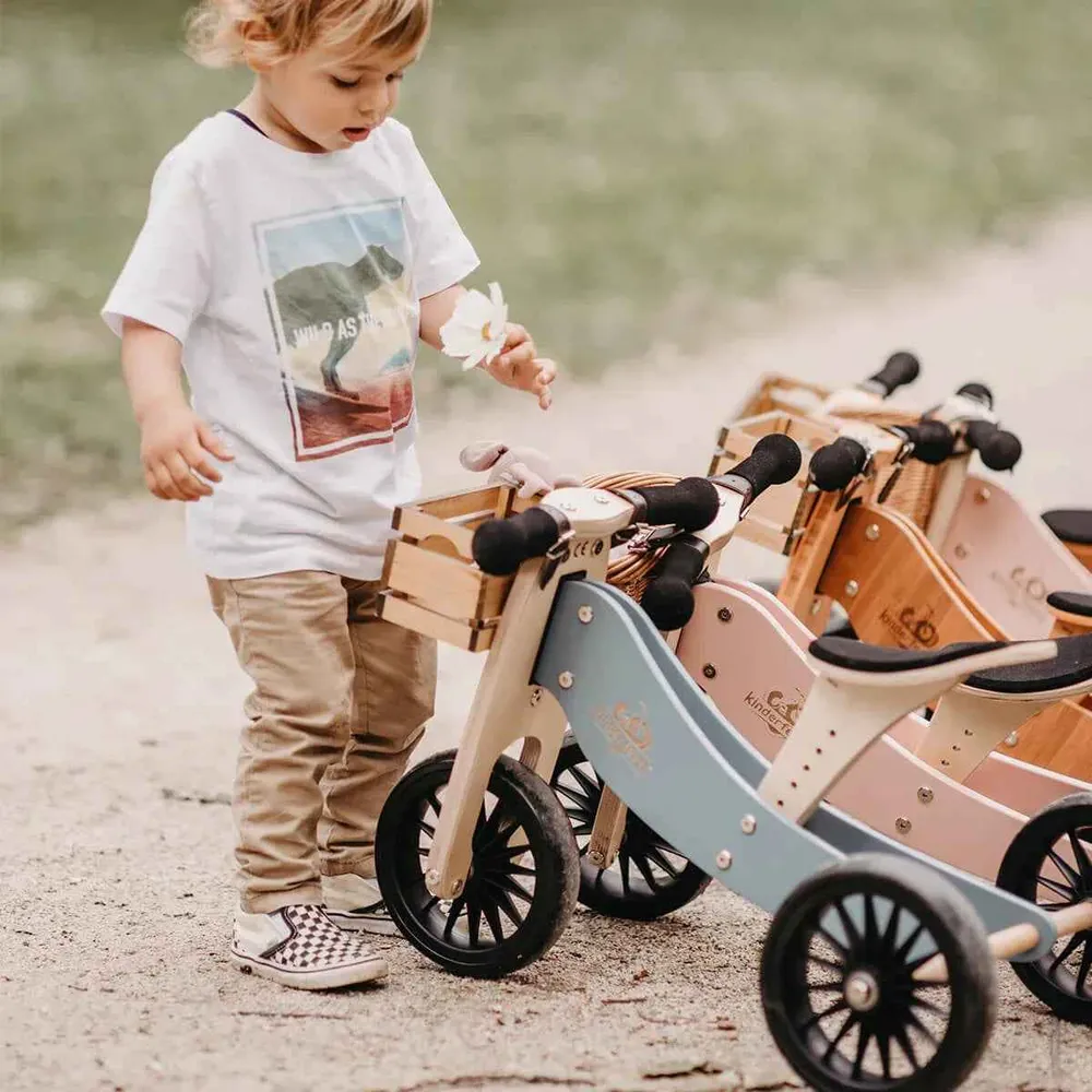 Kinderfeets® 2u1 Tricikl i bicikl bez pedala Tiny Tot Plus Silver Sage