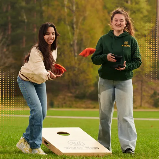 Cornhole početni komplet - 120x60 - 1x ploč / 2x4 vreće