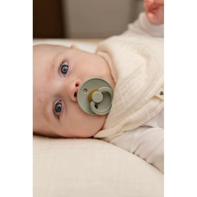 Bibs Okrugla Colour Duda - bundle - 5 kom. - vel. 2 - Sage