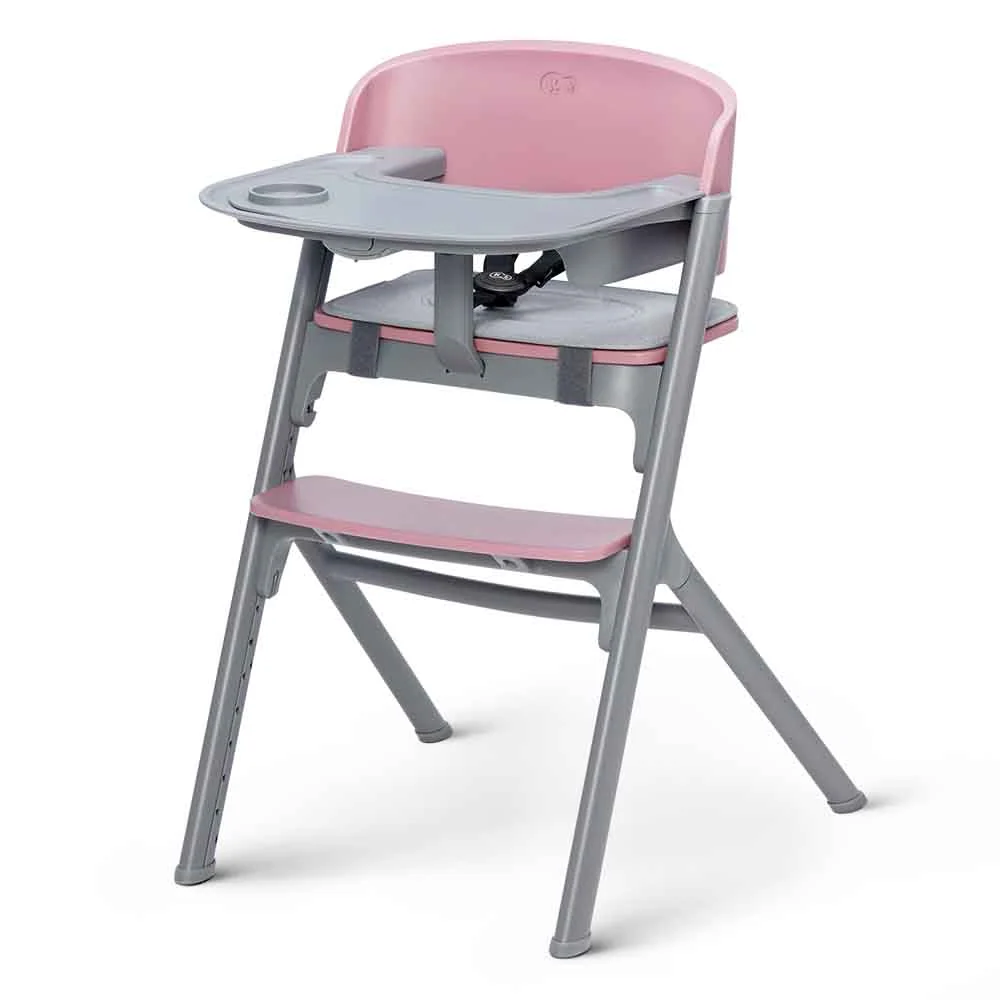 Kinderkraft hranilica LIVY, Aster pink 3u1