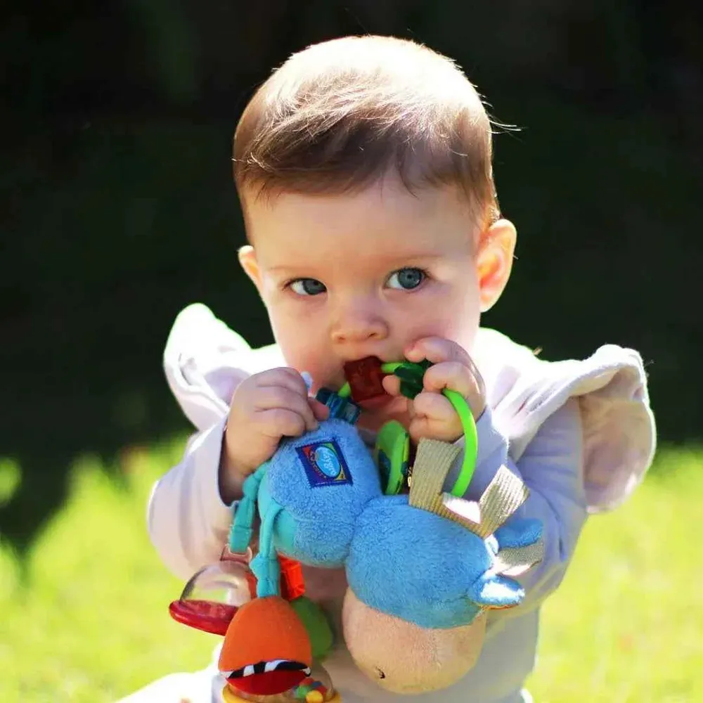 Playgro® Aktivna Ropotuljica