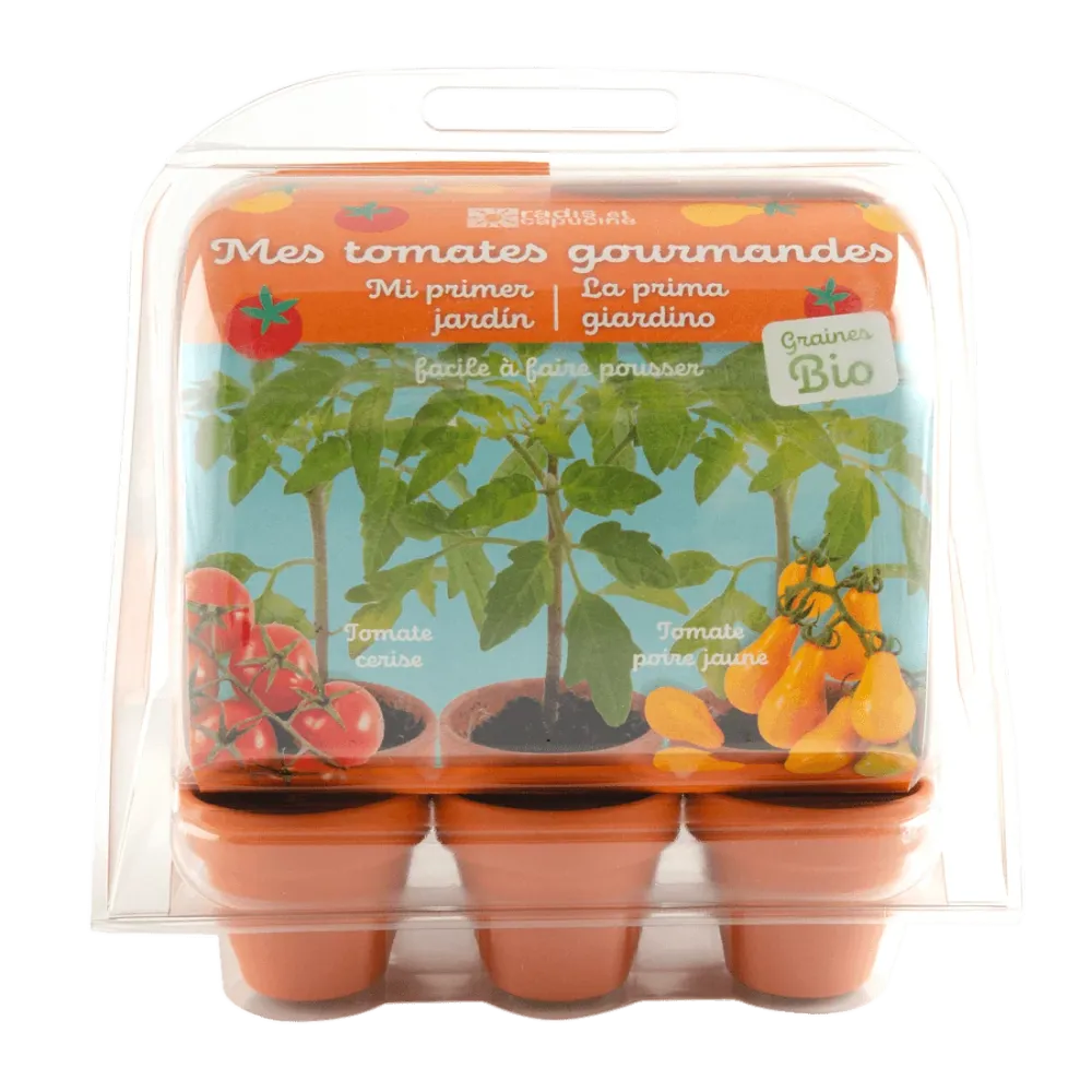 SET - Mini staklenik za uzgoj rajčice, za djecu