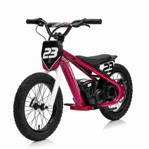 Motor na akumulator BAIGOR 23 PRO - rozi