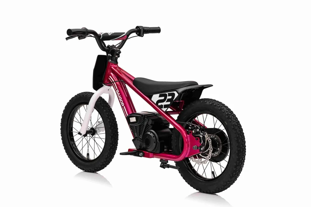 Motor na akumulator BAIGOR 23 PRO - rozi