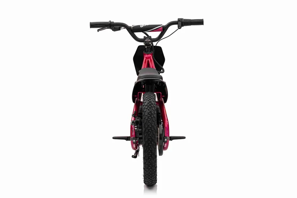 Motor na akumulator BAIGOR 23 PRO - rozi