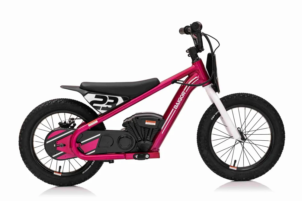 Motor na akumulator BAIGOR 23 PRO - rozi