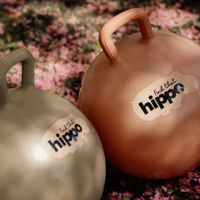 Pronađi tu hippo Hoppebold - Perzijski Narančasta
