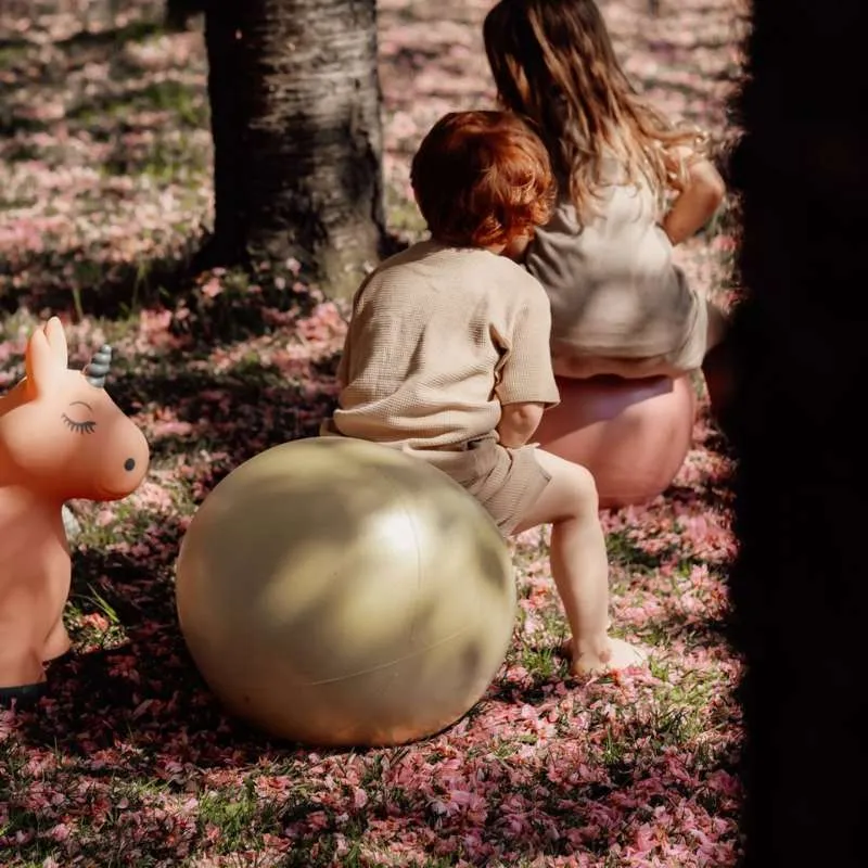Pronađi tu hippo Hoppebold - Stari zlatni