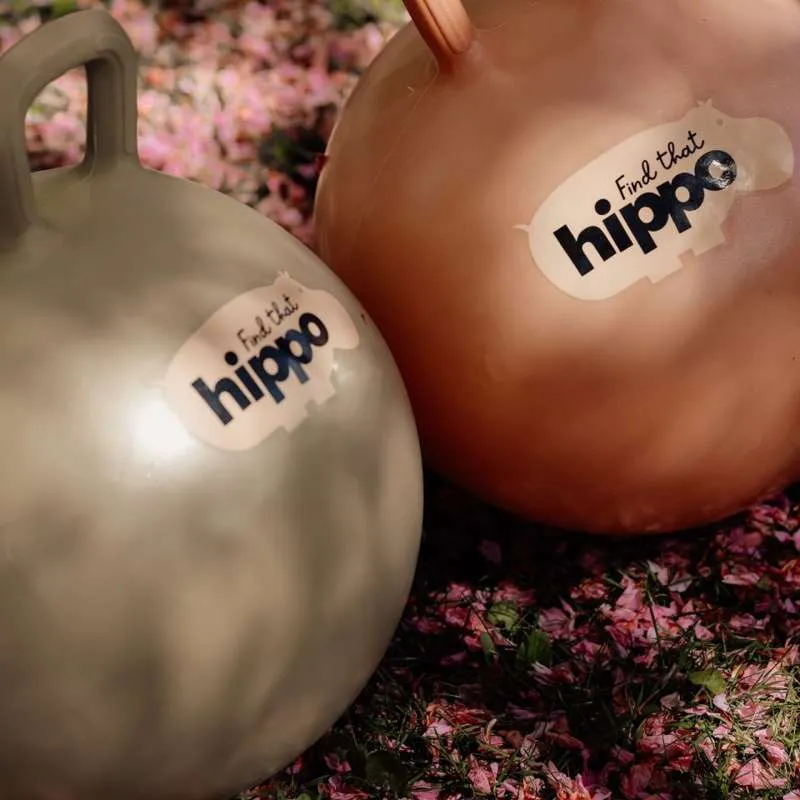 Pronađi tu hippo Hoppebold - Stari zlatni