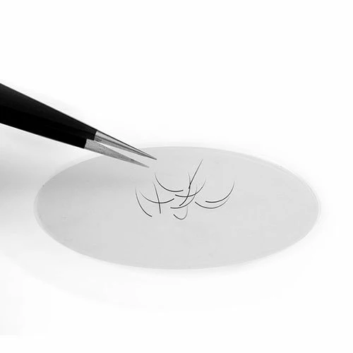 Silikonski pladanj Kodi Professional