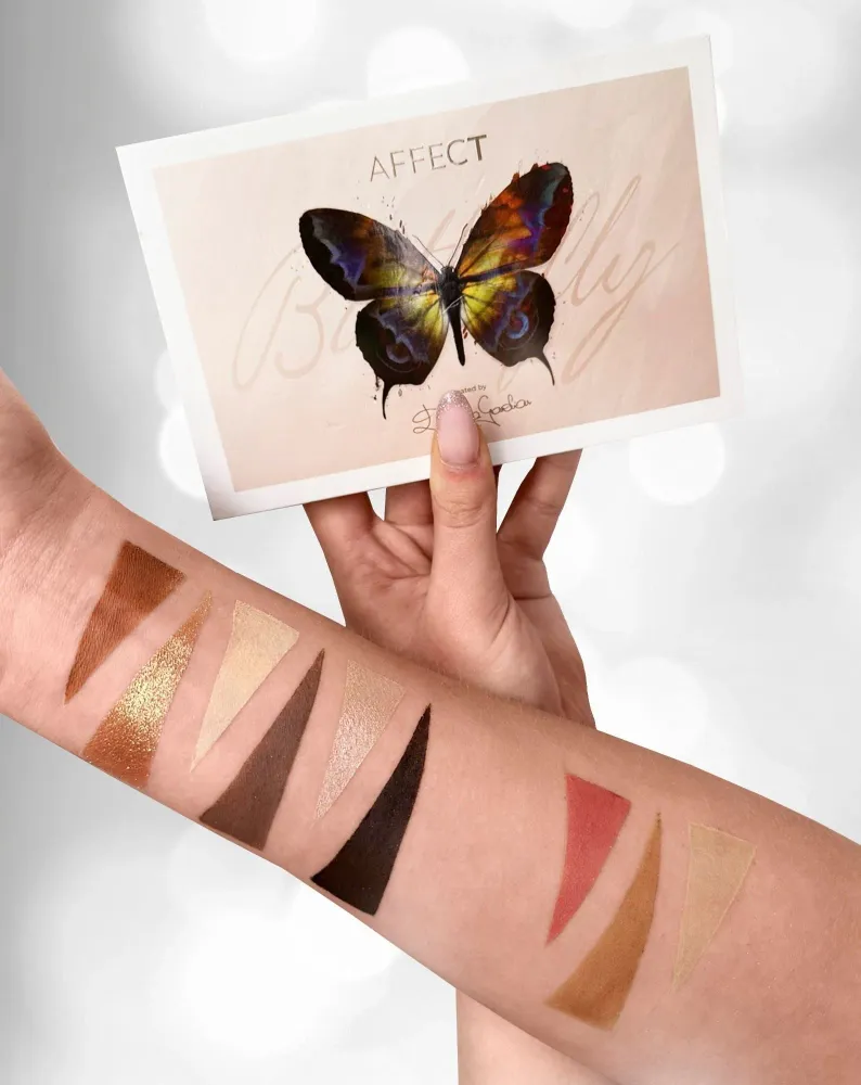 Paleta šminke Butterfly šminka Rumenila i bronzeri utječu na profesionalnu kozmetiku