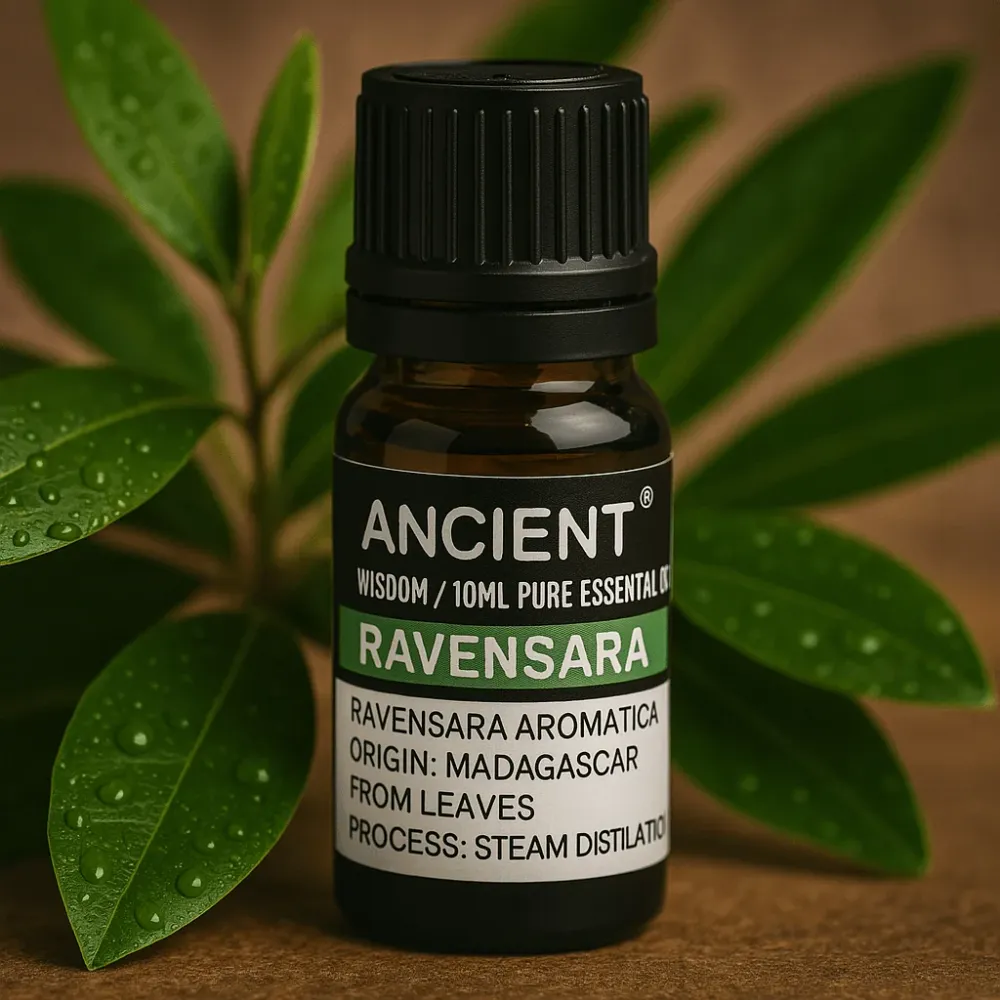 Ravensara eterično ulje 10ml Madagaskar destilirano parom