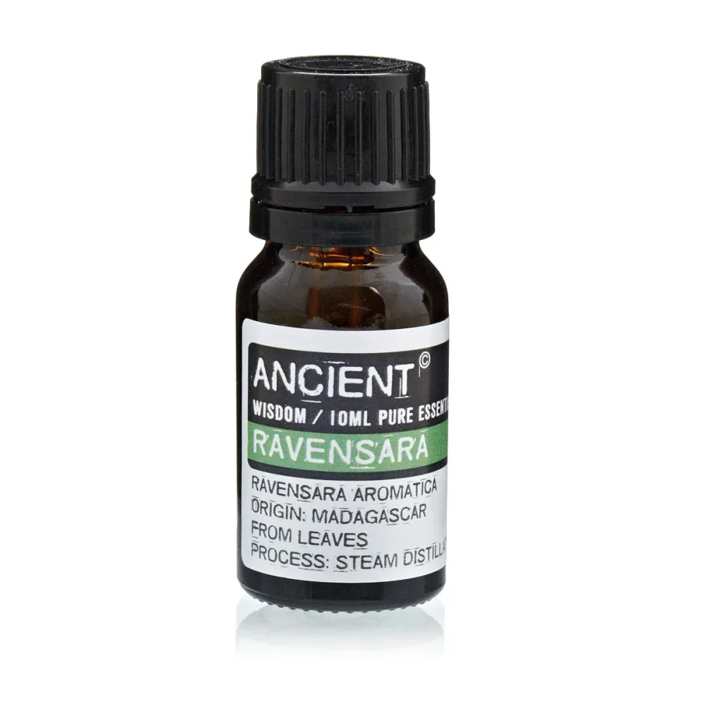 Ravensara eterično ulje 10ml Madagaskar destilirano parom