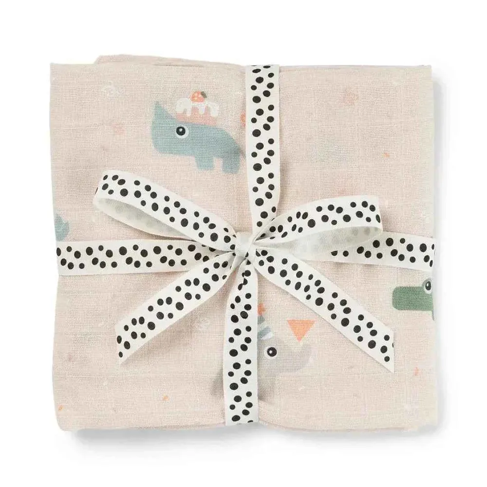 Done Deer® Pelena za povijanje Celebration Powder 120x120