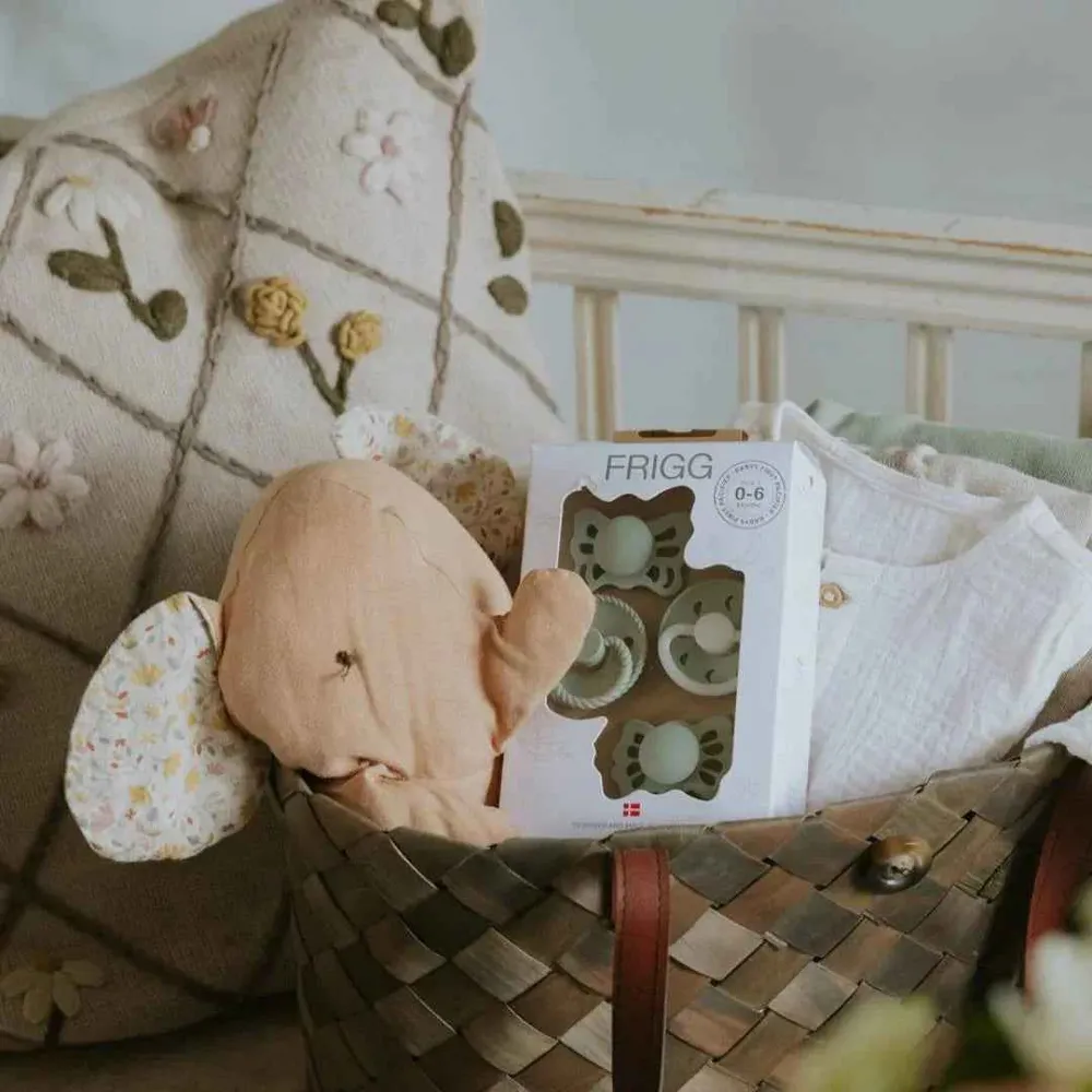 Frigg® Baby First Pacifier kolekcija duda Sage