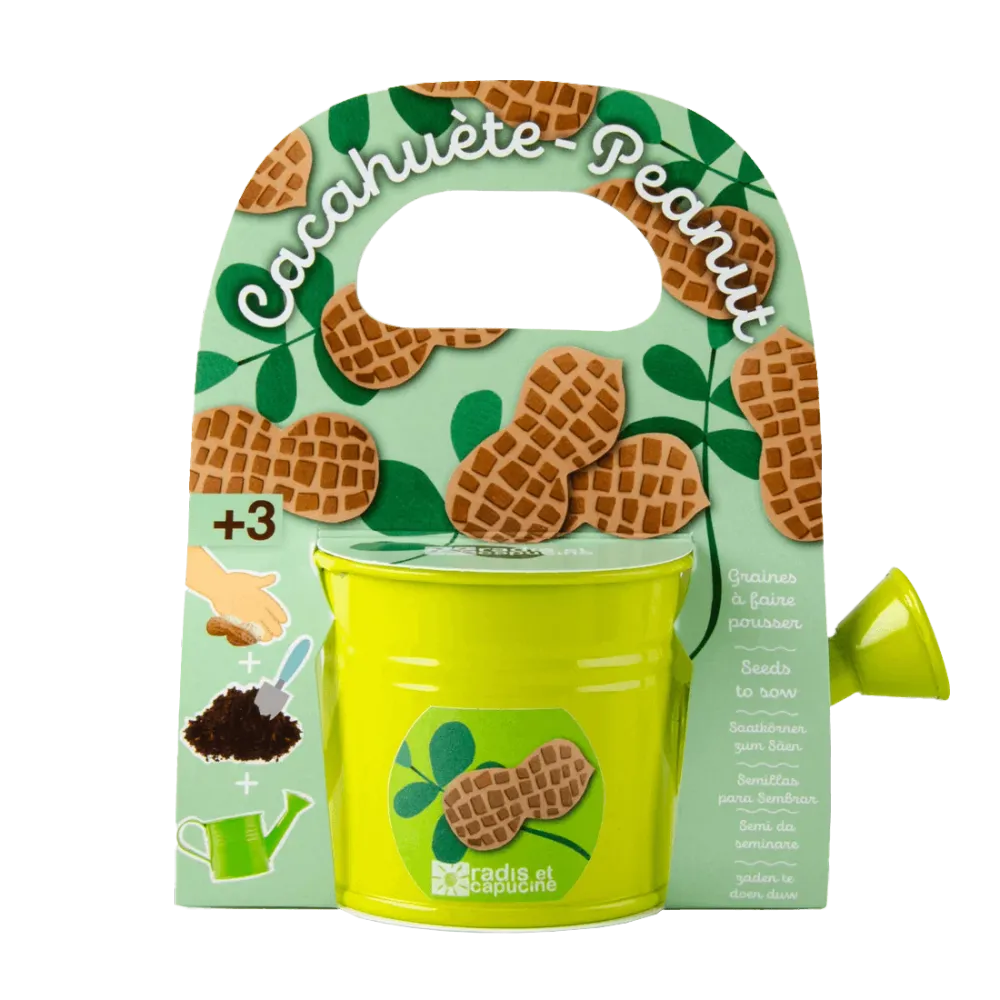 SET - Mini kantica sa sjemenkama kikirikija