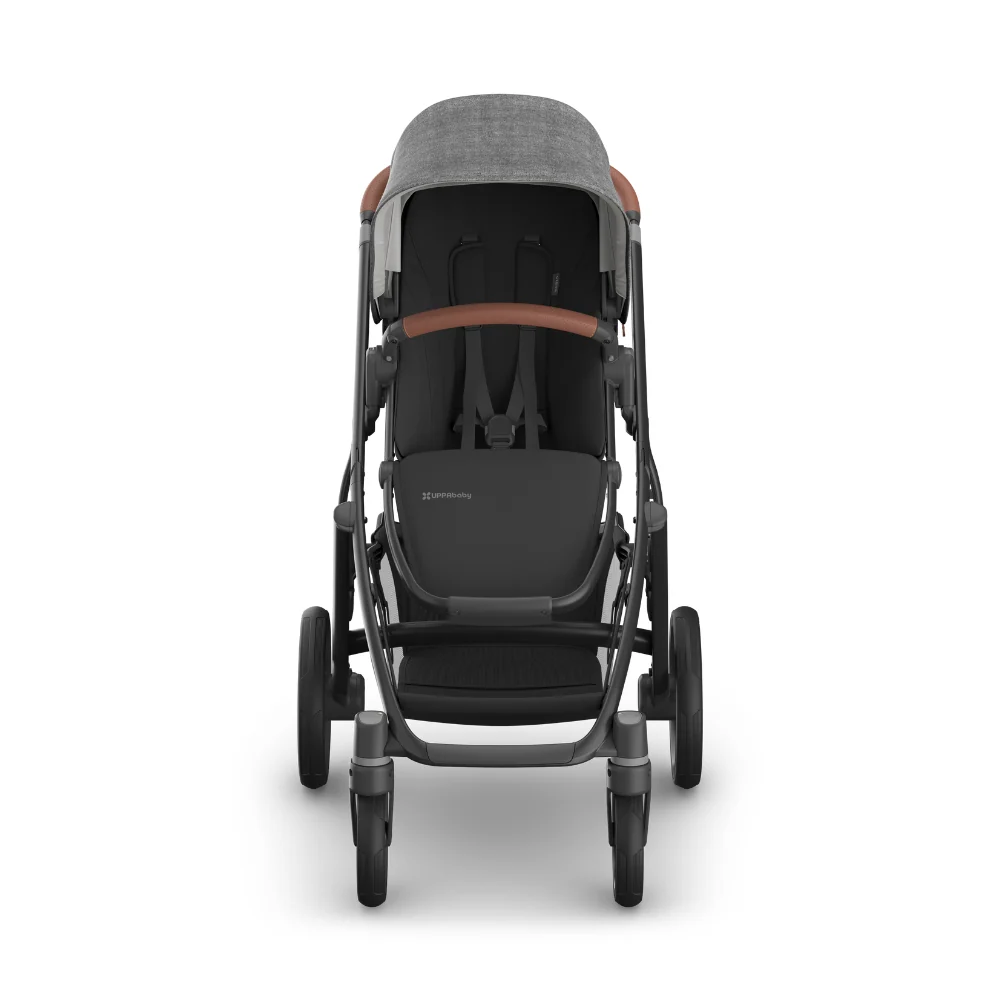 Dječja kolica UPPAbaby Vista V3 2u1