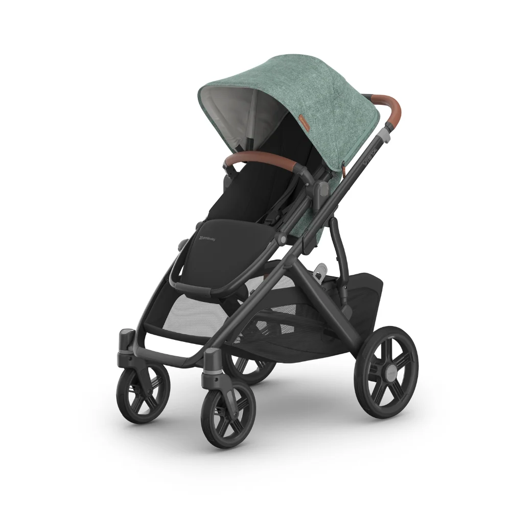 Dječja kolica UPPAbaby Vista V3 2u1