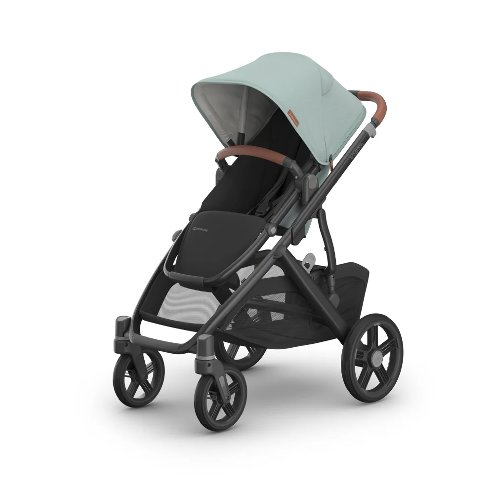 Dječja kolica UPPAbaby Vista V3 2u1