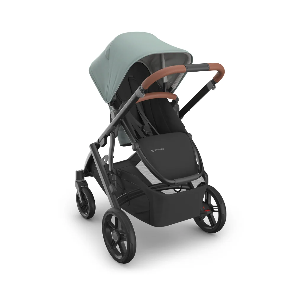 Dječja kolica UPPAbaby Vista V3 2u1