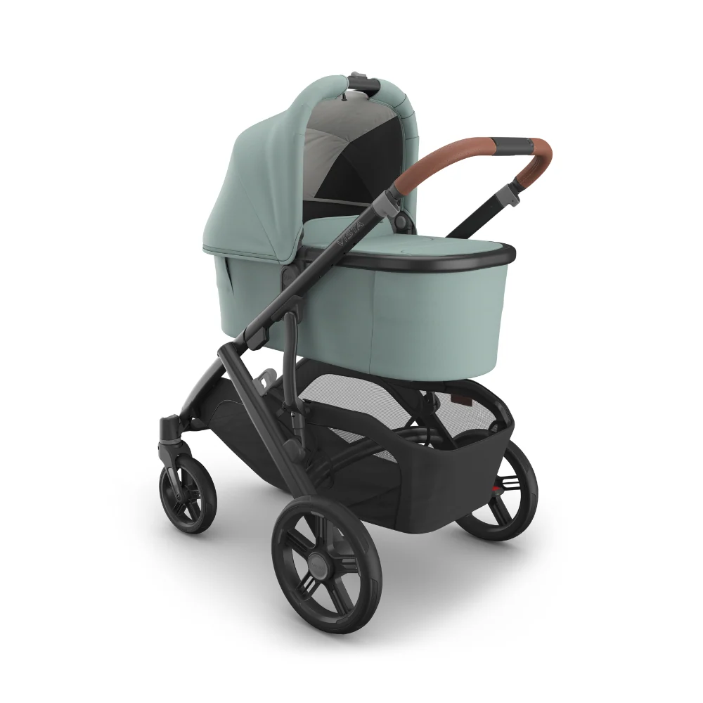 Dječja kolica UPPAbaby Vista V3 2u1