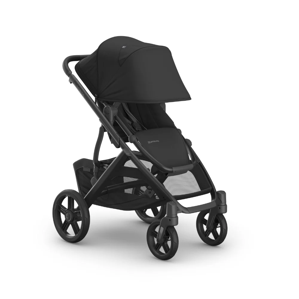 Dječja kolica UPPAbaby Vista V3 2u1