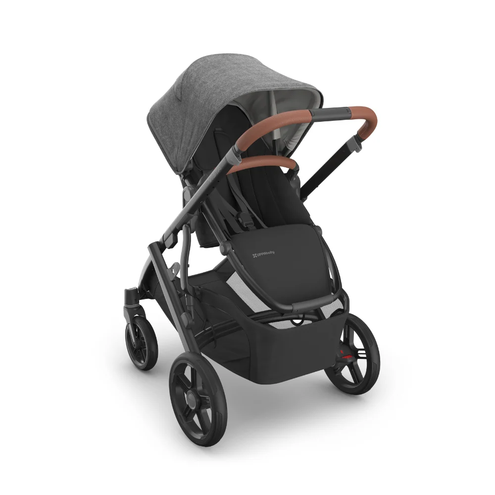 Dječja kolica UPPAbaby Vista V3 2u1