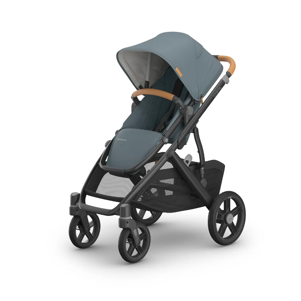Dječja kolica UPPAbaby Vista V3 2u1