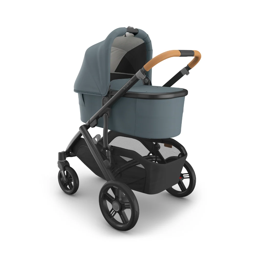 Dječja kolica UPPAbaby Vista V3 2u1