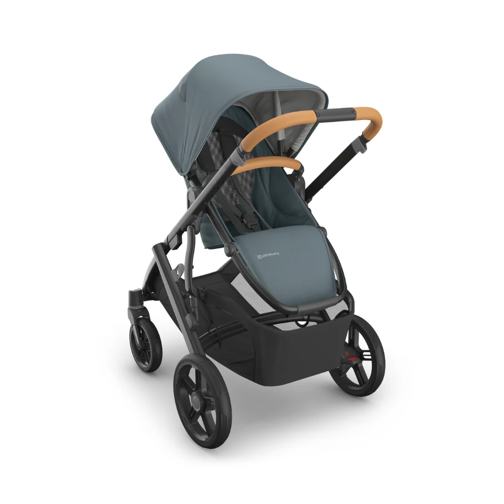 Dječja kolica UPPAbaby Vista V3 2u1