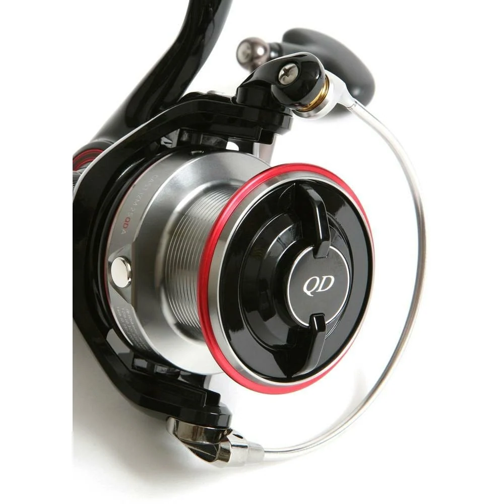 Daiwa Cast'izm 25 QDA