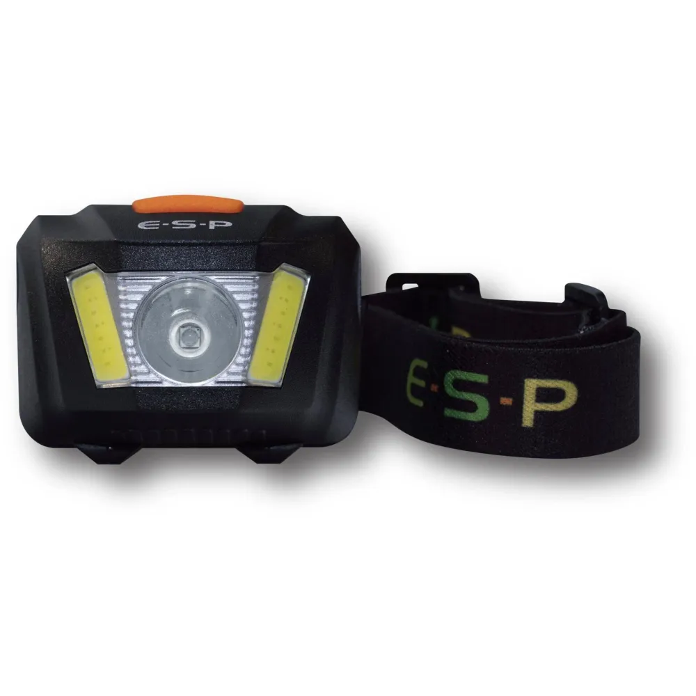 ESP Flood Light