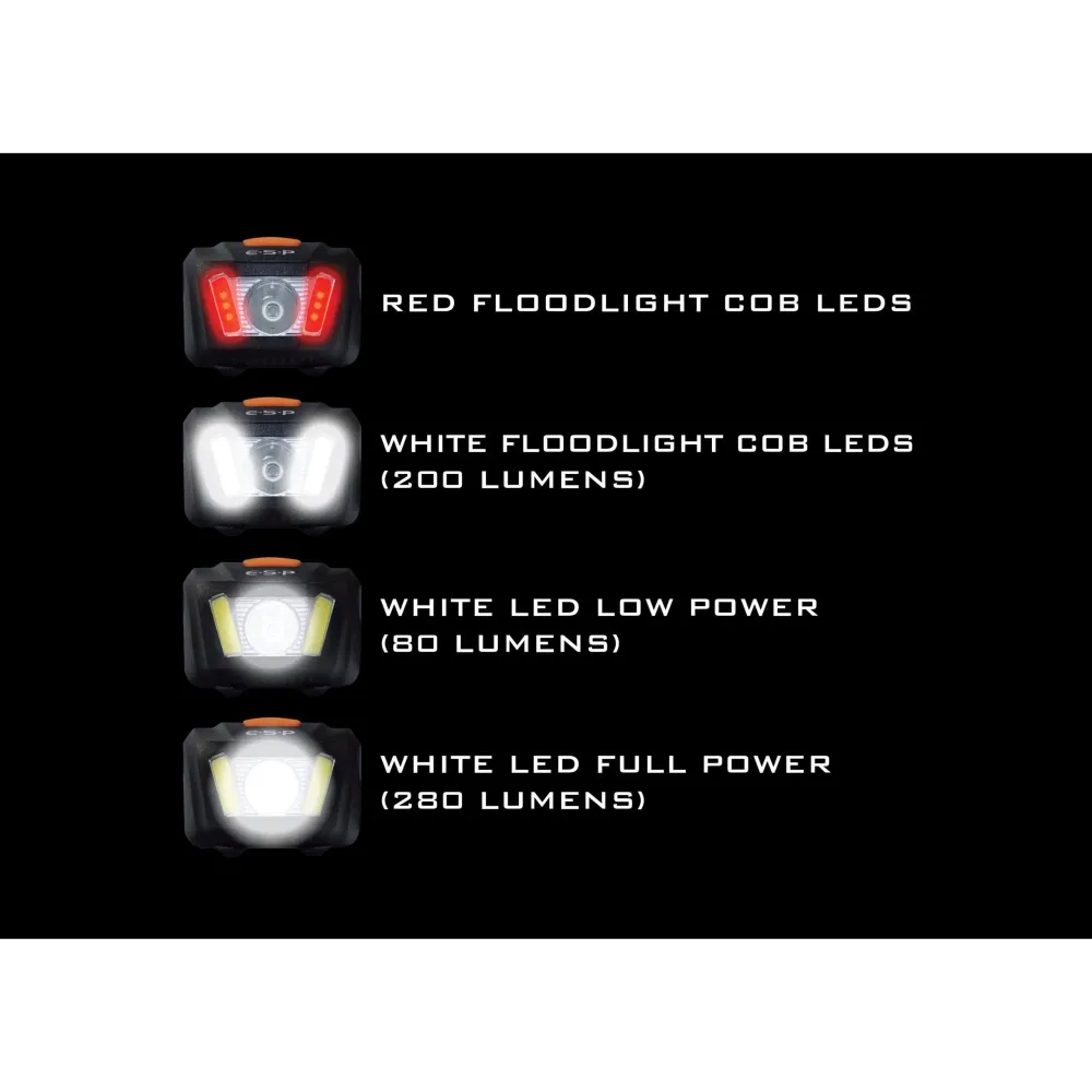 ESP Flood Light