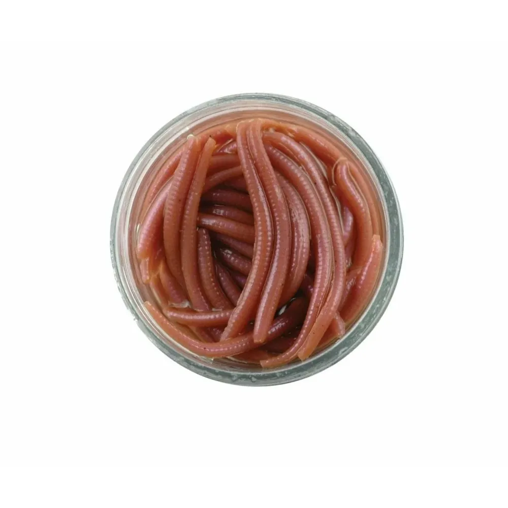 Berkley Gulp Alive Angle Worm 3 cm Natural