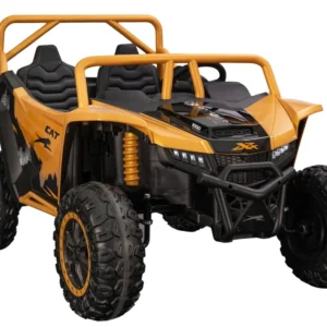 Arctic Cat WILDCAT XX 24V14AH Gold Buggy Battery Vehicle