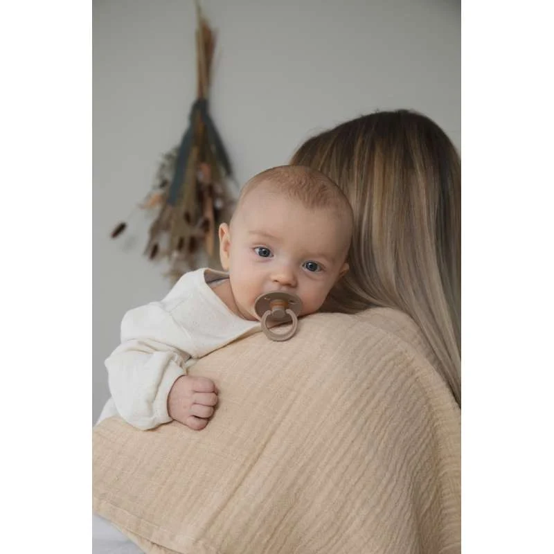 Bibs Okrugla Colour Duda - bundle - 3 kom. - vel. 2 - Tamni hrast